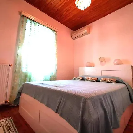 Andros Traditional With Sea View Terrace *