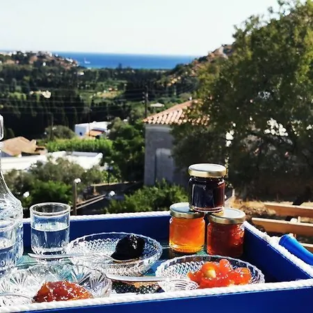 Andros Traditional With Sea View Terrace Feriehus Vrakhnos